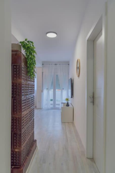 Apartman Scala ザダル エクステリア 写真